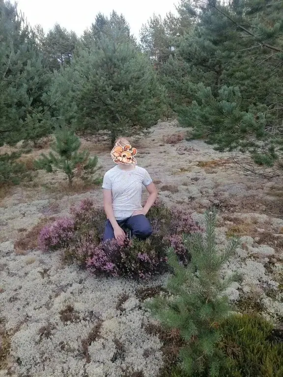 Продажа дома 100 кв.м. на участке 25 сот. - Фото 9