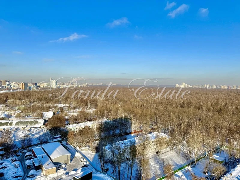 Панорамные виды на парк Сокольники (ном. объекта: 9798) - Фото 2