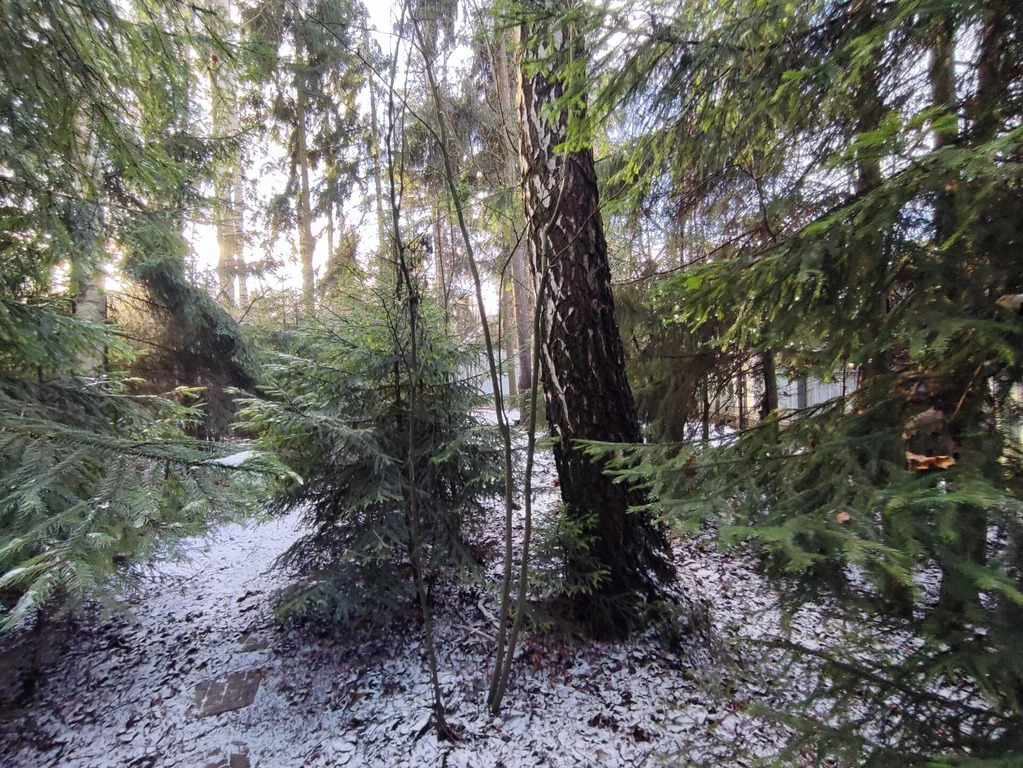 Продажа участка, Апрелевка, Наро-Фоминский район, ул. Волочаевская - Фото 7