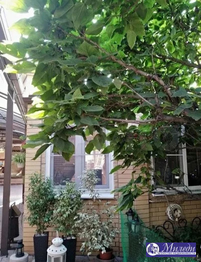 Продажа дома, Батайск, ул. Ворошилова улица - Фото 5