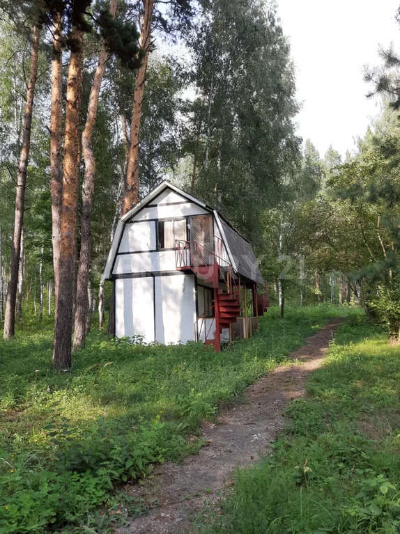 Продажа ПСН, Колодезское, Задонский район, ул. Солнечная - Фото 18