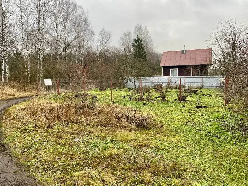 Дом 30,8 м2 на участке 6,1 сот. - Фото 16