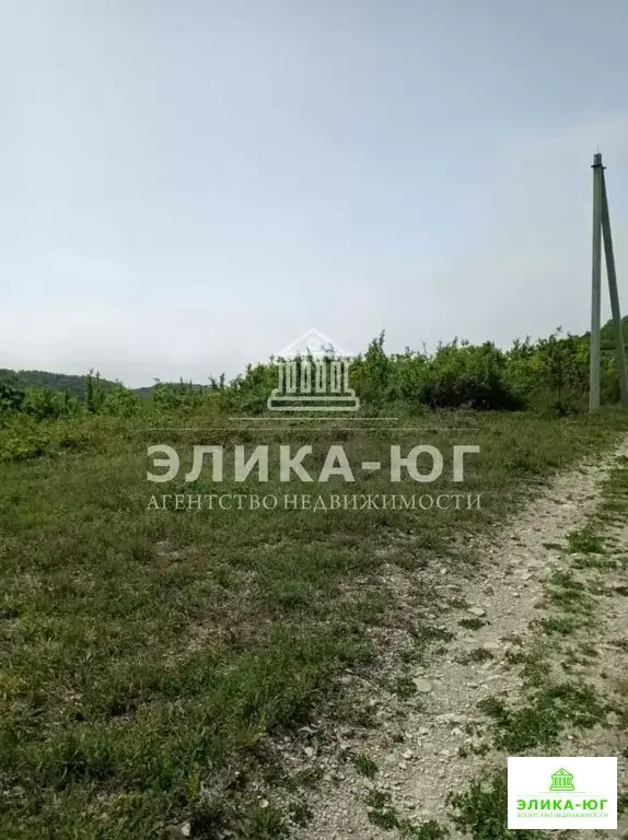 Продажа участка, Пляхо, Туапсинский район, мкр. Молодежный - Фото 5