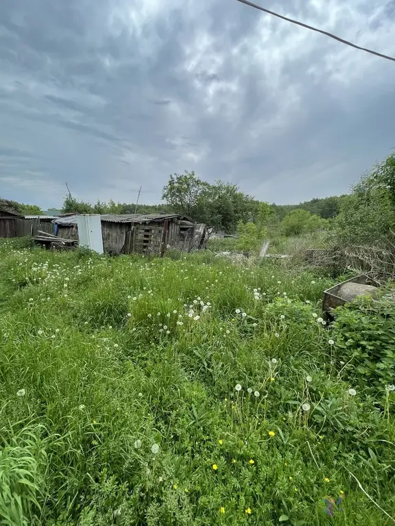 Продаю участок 15 соток, под пмж д. Госконюшня Ступинский район. - Фото 7