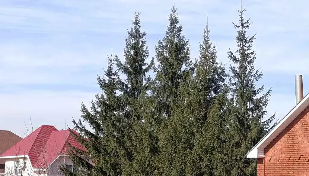 Продам коттедж в Уфе - Фото 2