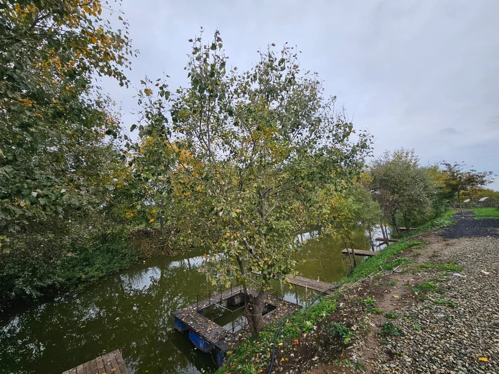 Продажа готового бизнеса, Абинск, Абинский район - Фото 10