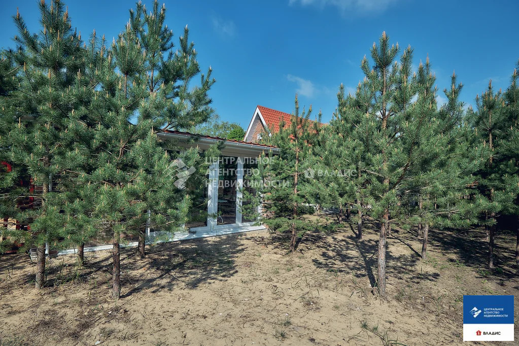 Продажа дома, Ласково, Рязанский район, Весенняя улица - Фото 28