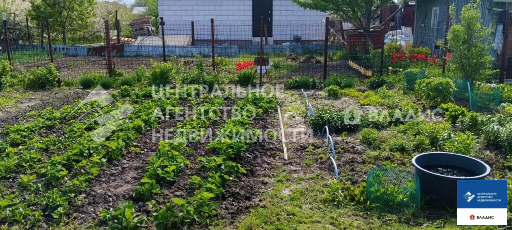 Продажа участка, Тюшево, Рязанский район, Виноградная улица - Фото 4