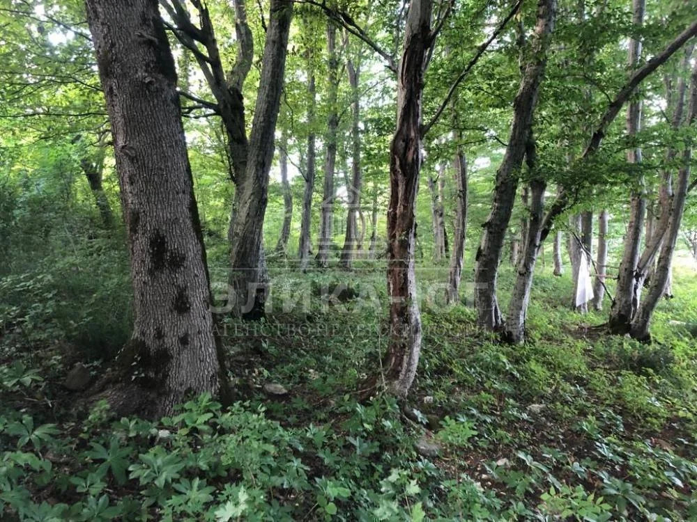 Продажа участка, Цыпка, Туапсинский район - Фото 5