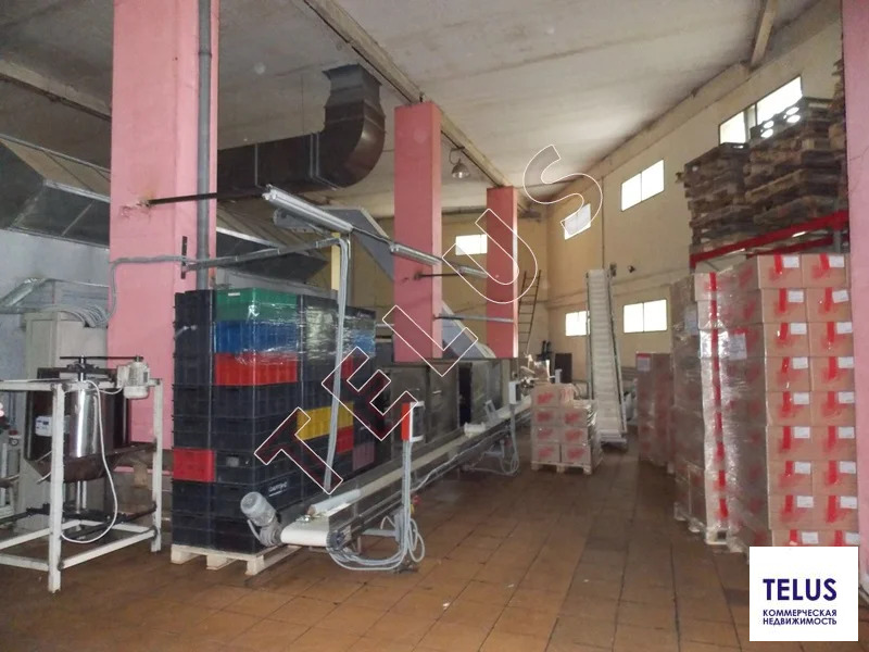 МО, Электросталь г.о., Новые Дома пос., 4000 м2, Пищевое производство ... - Фото 19