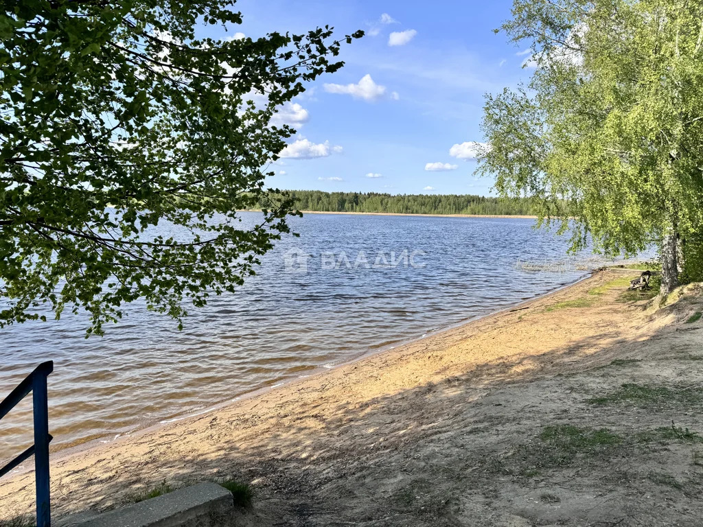 городской округ Мытищи, деревня Манюхино, Водоводная улица,  дом на ... - Фото 27