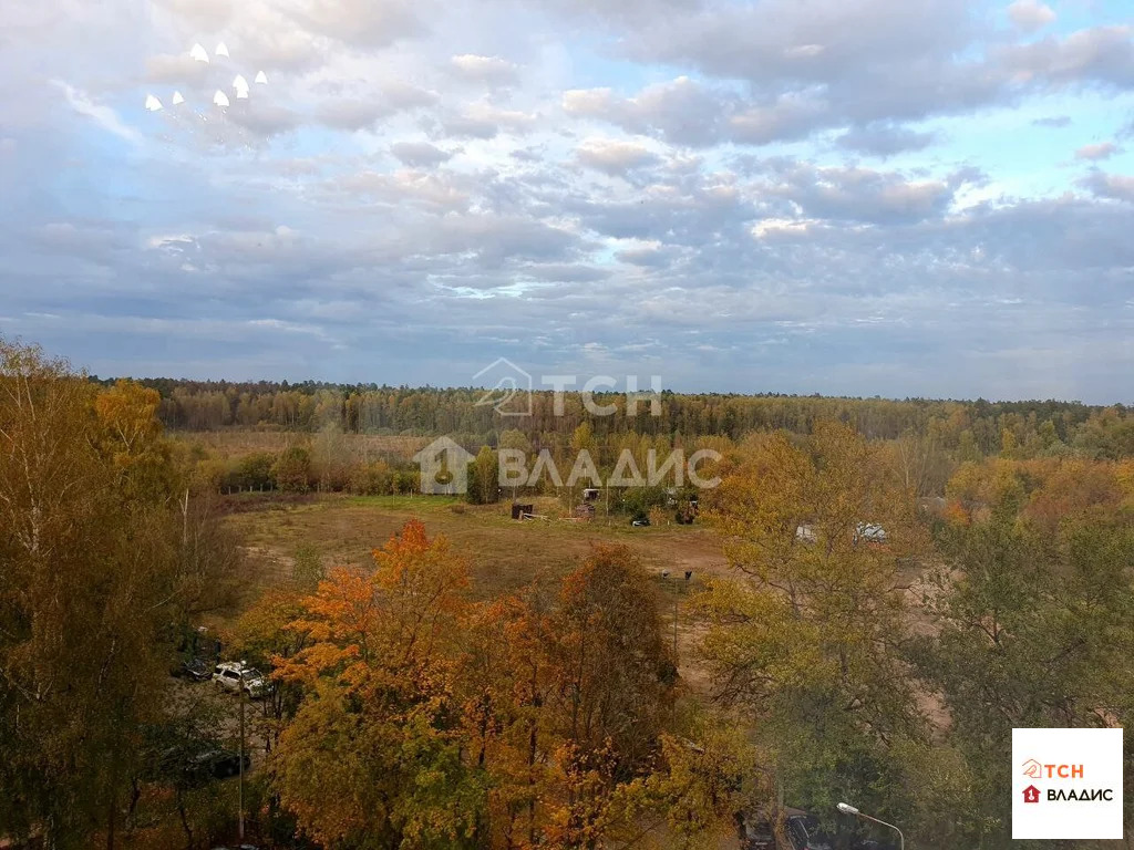 Продажа квартиры, Балашиха, Балашиха г. о., Северный проезд - Фото 21