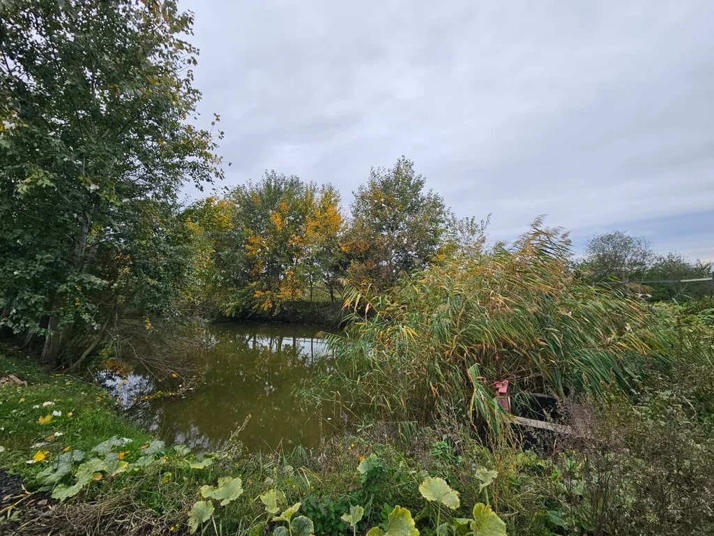 Продажа готового бизнеса, Абинск, Абинский район - Фото 8