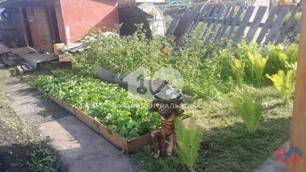 Новосибирский район, садовое товарищество Яблоневый Сад № 1, 18-я ... - Фото 26