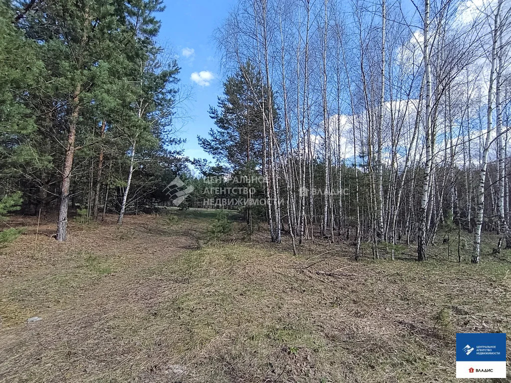 Продажа участка, Шиловский район, садоводческое товарищество Тырница - Фото 2