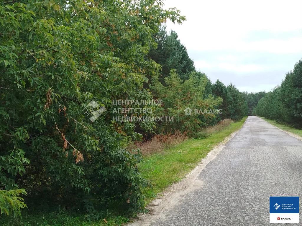 Продажа дома, Мимишкино, Касимовский район - Фото 12