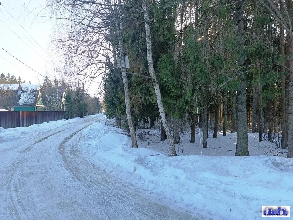 15 соток в д. Михайловка с лесными деревьями - Фото 0