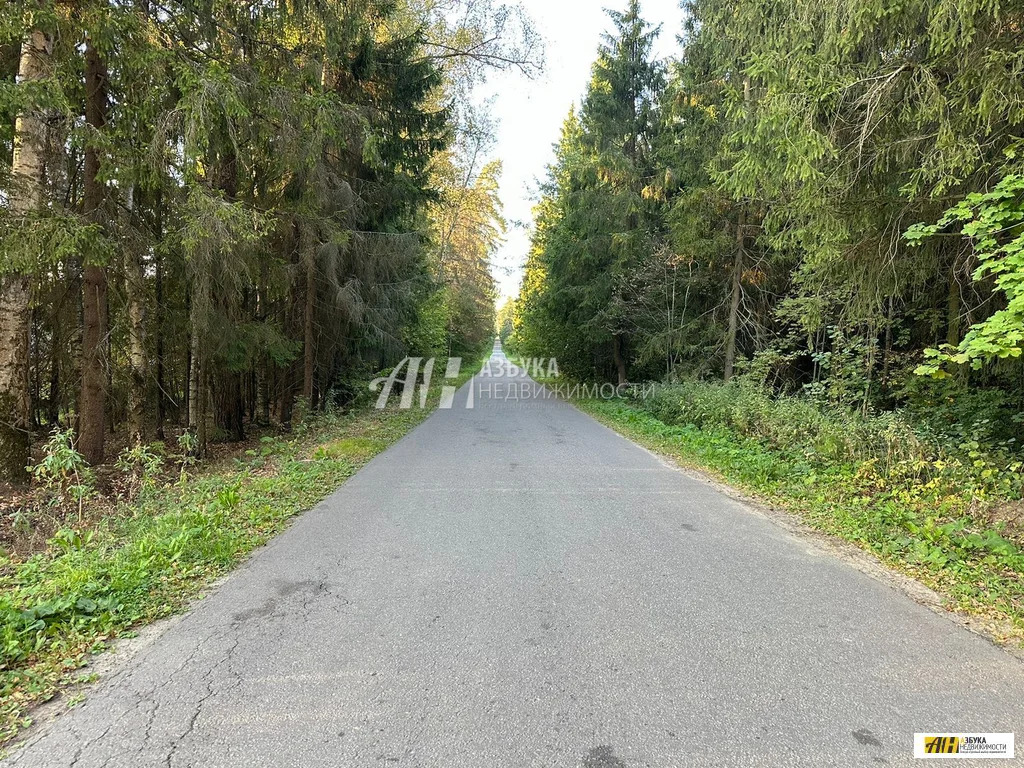 Продажа участка, Жилино, Богородский г. о. - Фото 7