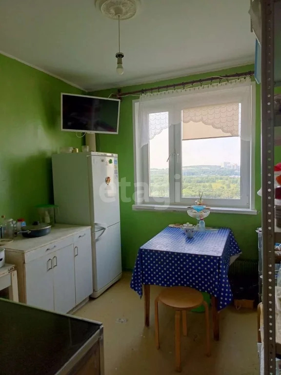 Продажа квартиры, м. Ясенево, Инессы Арманд, 8/17 - Фото 14