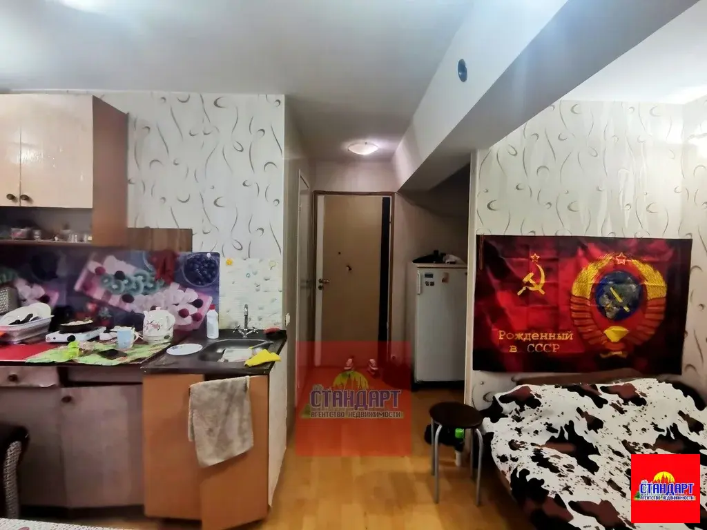 Отличная Студия по Пушкина 12А - Фото 6