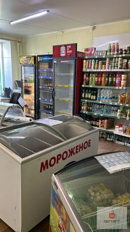Продажа ПСН, Сосновка, Высокогорский район, ул. Центральная - Фото 2