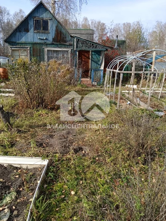 Тогучинский район, СТН Зодчий-2,  земля на продажу - Фото 1