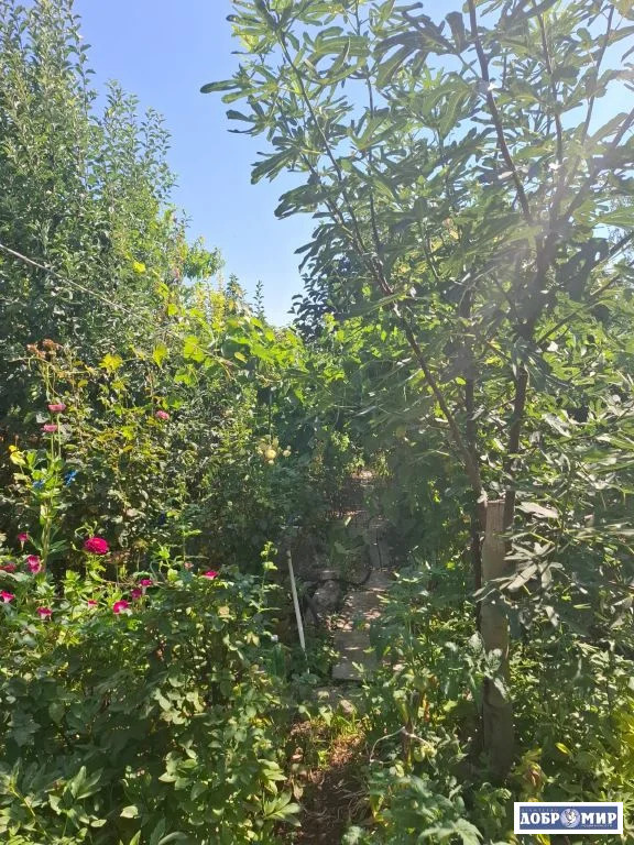 Продается Дом - Фото 24