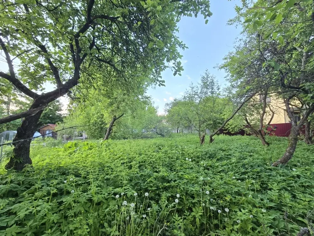 Продаю дачу в с. Покровское - Фото 10