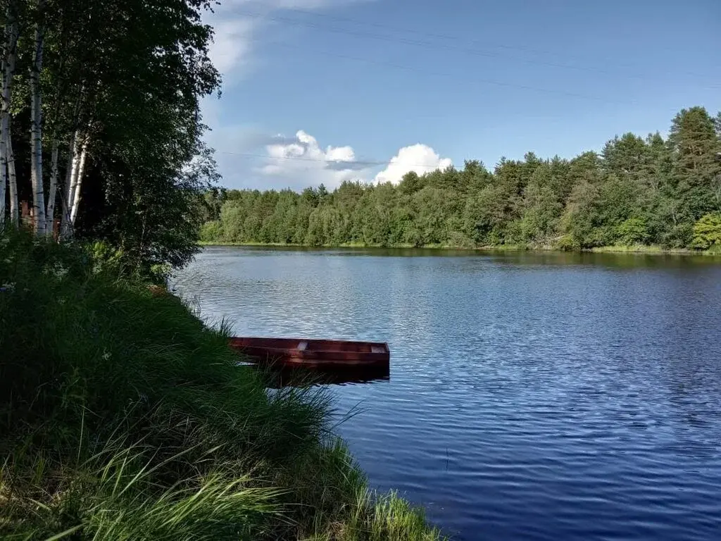 Продажа дома 100 кв.м. на участке 25 сот. - Фото 2