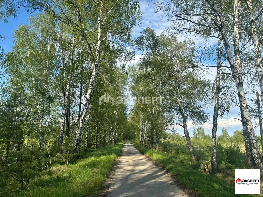 Участок, п. Елизаветино - Фото 3