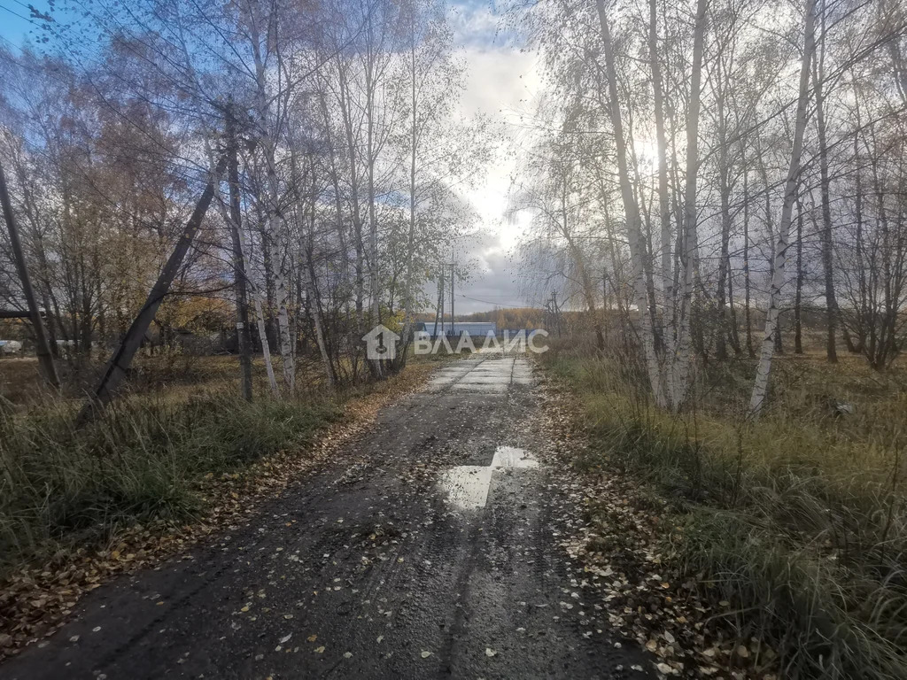 Суздальский район, село Новоалександрово,  земля на продажу - Фото 14