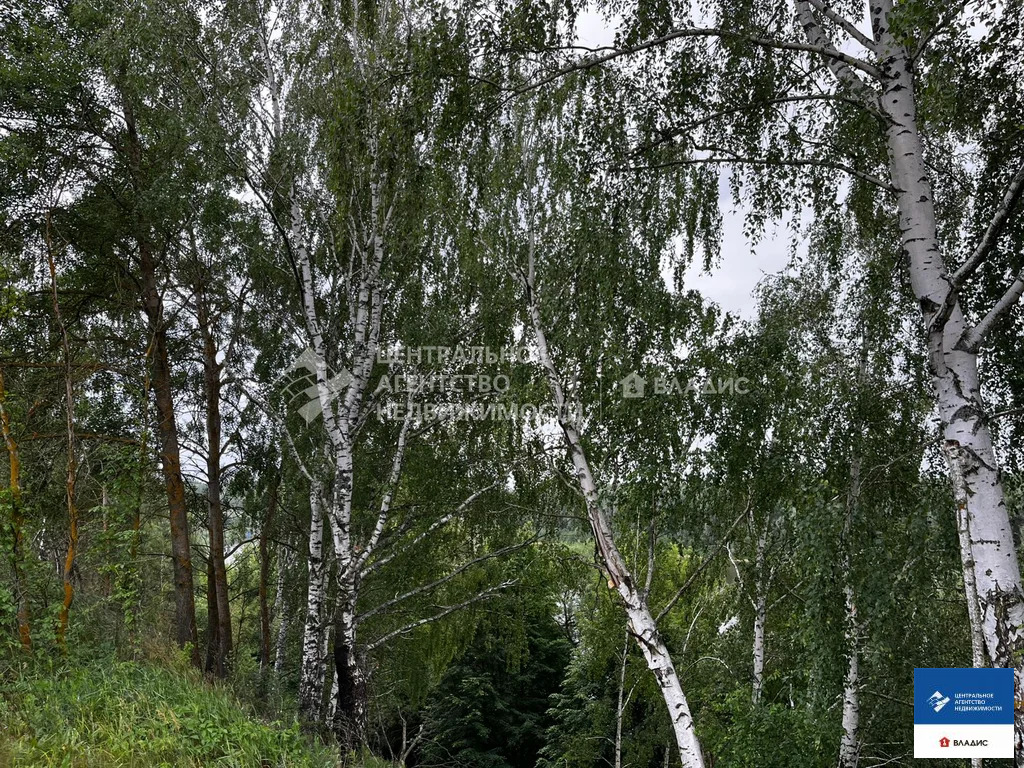 Продажа дома, Новый Киструс, Спасский район, ул. Лесная - Фото 14