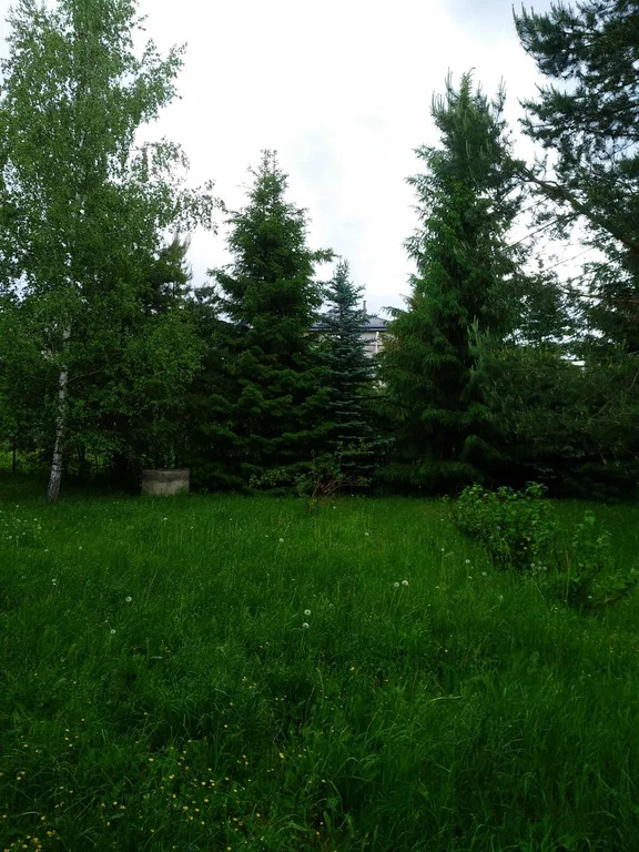 Продажа участка, Николо-Урюпино, Красногорский район, ул. Липовая - Фото 4