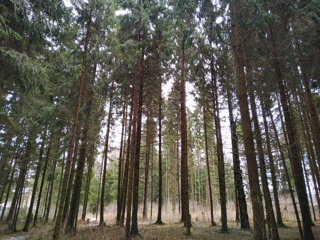 Купить Участок Под Ижс Ленинском Районе