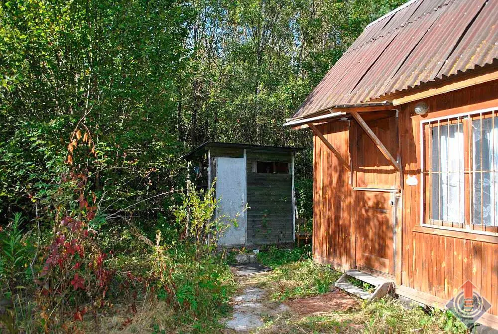 Дача в лесу на 9 сотках в СНТ Репка у д. Шапкино, Наро-Фоминский район - Фото 14