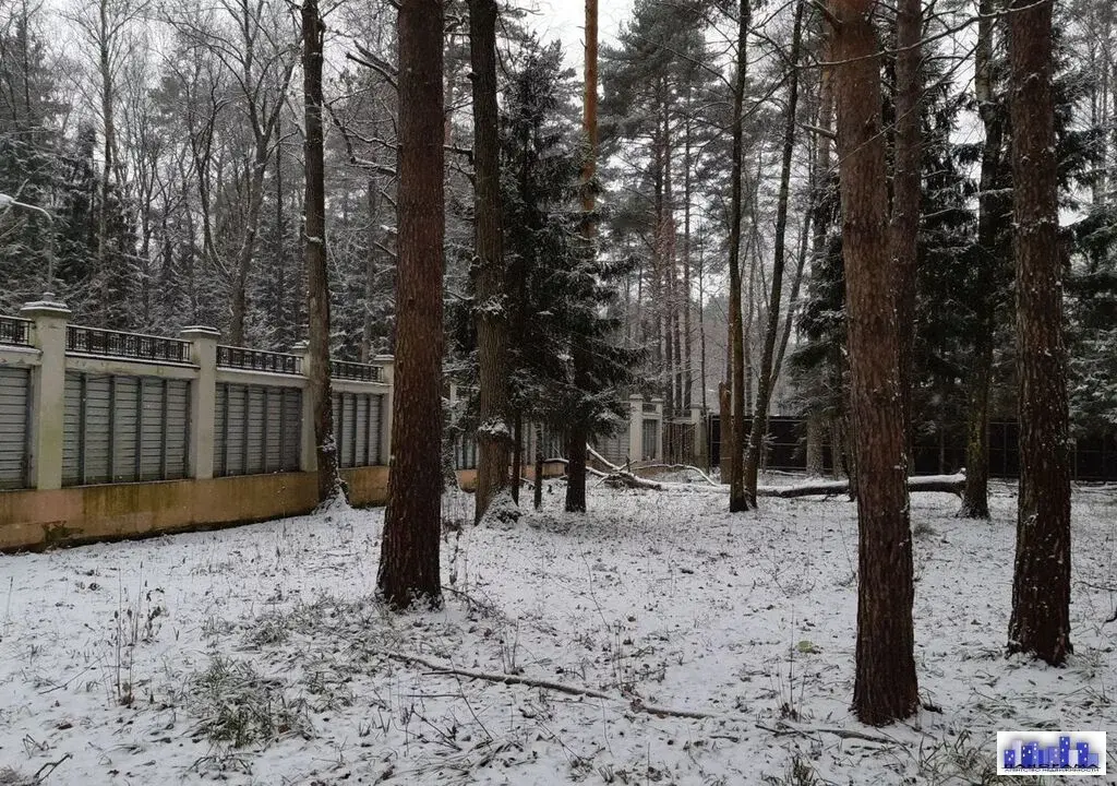 Участок 20,6 сотки в Новогорске - Фото 2