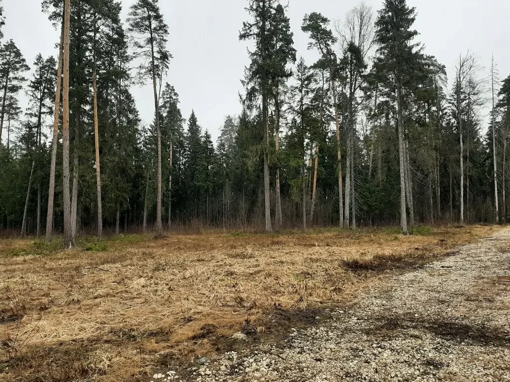 Продам участок ИЖС 13.74 сот. в с. Ивановское - Фото 12