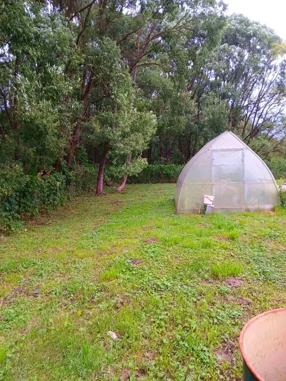 Дом в деревне Новая - Фото 20