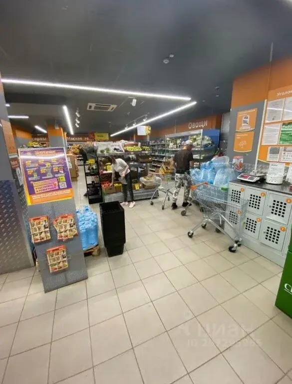 Купить торговую площадь 850.0м Школьная ул., 9, Балашиха, Московская ... - Фото 8