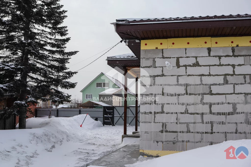 городской округ Новосибирск, Новосибирск, Первомайский район, ... - Фото 3