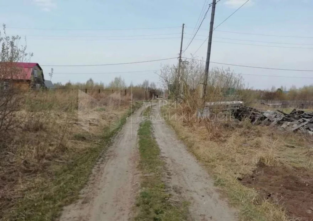 Снт фазенда. Снт фазенда
