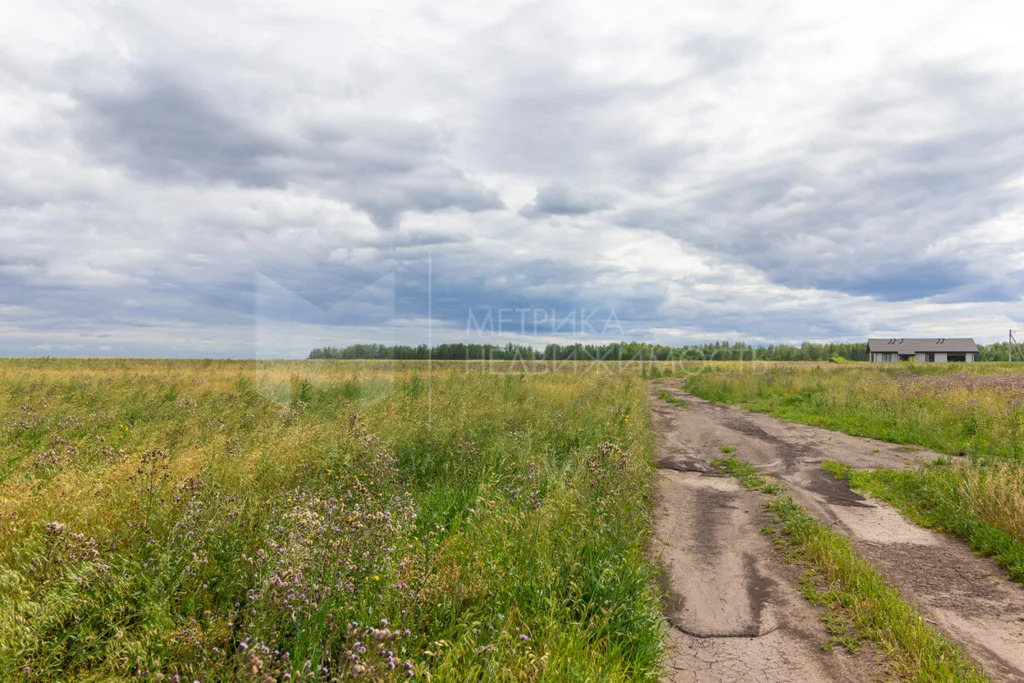 Продажа земельного участка, Тюменский район, Тюменский р-н - Фото 5
