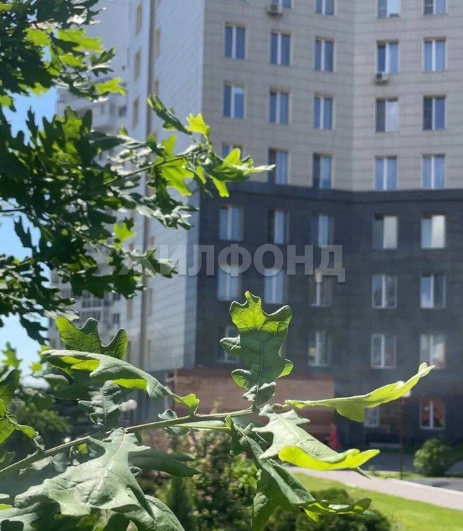 Продажа квартиры, Новосибирск, ул. Шевченко - Фото 13