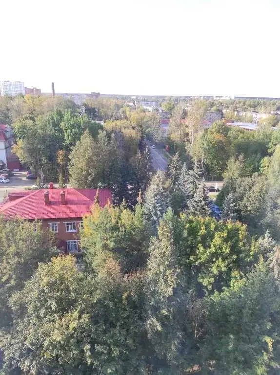Трехкомнатная квартира в Дедовске. - Фото 2