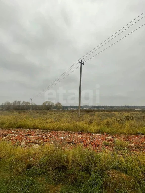 Продажа участка, Загорново, Раменский район, ул. Новая - Фото 3