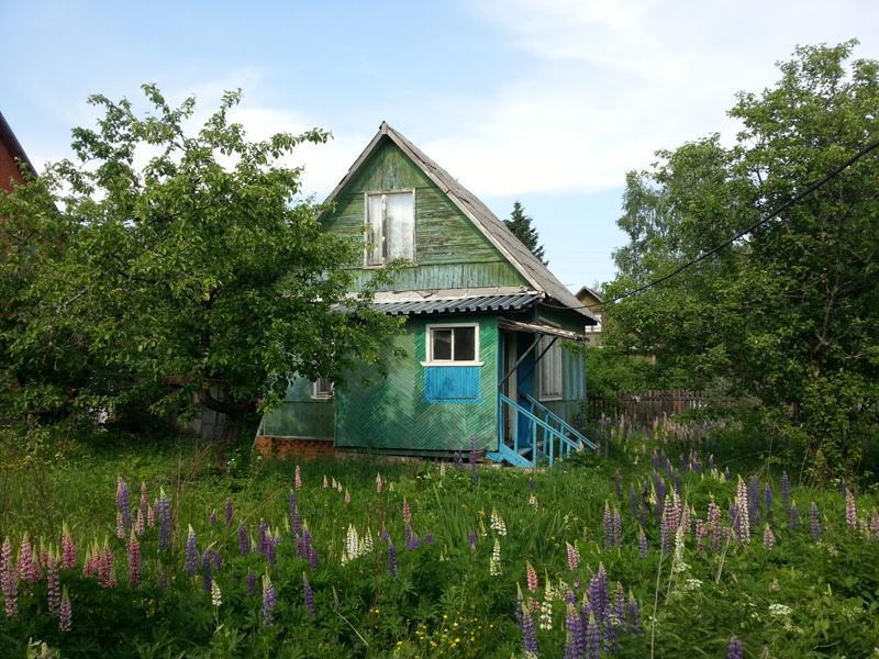 Дмитровский район подосинки фото