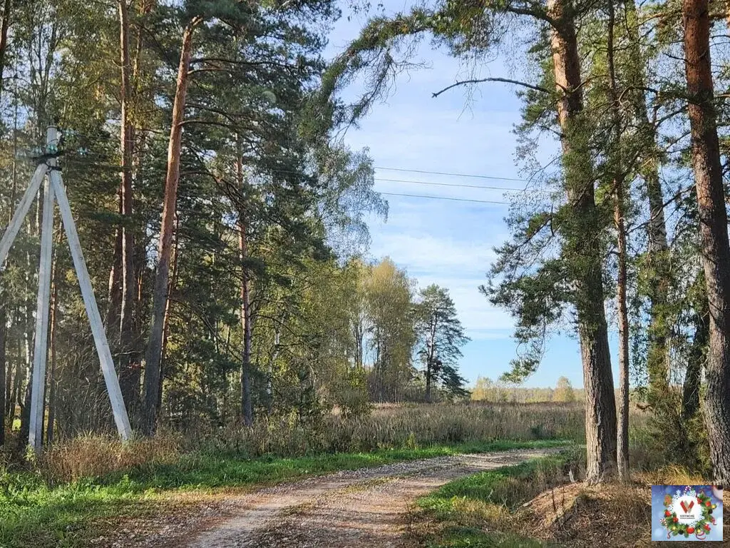 Продаю участок 15.0 сот. Владимирская область, Киржачский ... - Фото 15