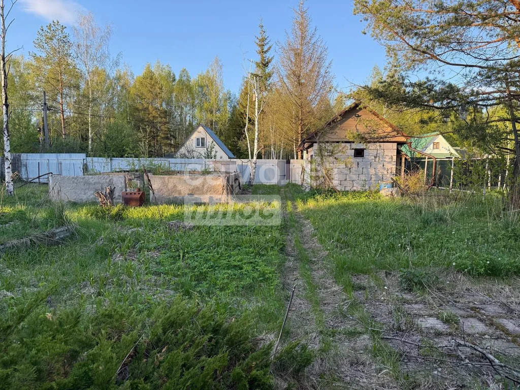 Продажа участка, Дмитров, Дмитровский район - Фото 12
