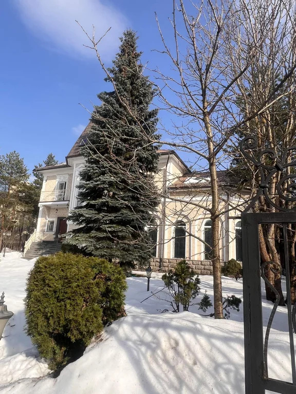 Коттедж 587.2 м2 на участке 14.999 сот. - Фото 4