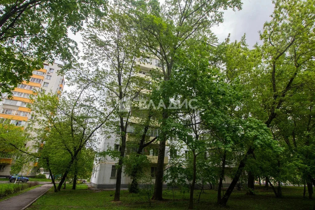 Москва, проезд Черепановых, д.64к2, 2-комнатная квартира на продажу - Фото 24